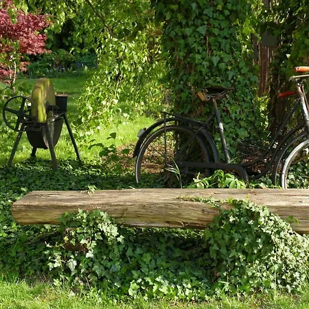 Au Relais De L'ill Hotel