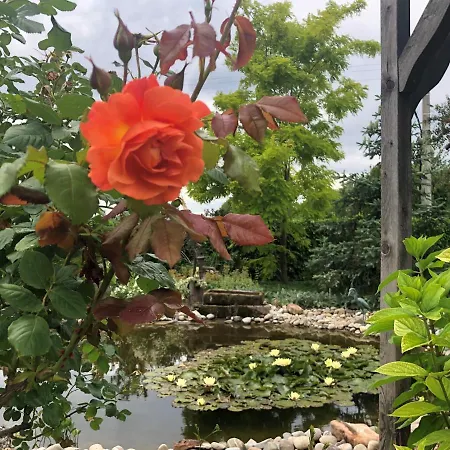 酒店 瑞莱德利旅馆 Sermersheim