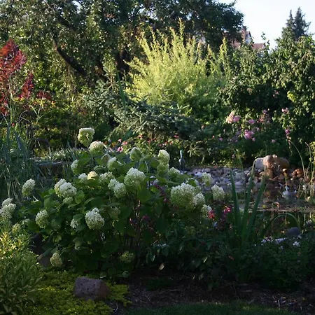 酒店 瑞莱德利旅馆 Sermersheim