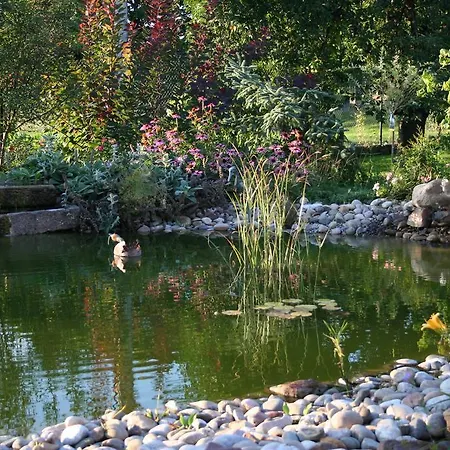 Au Relais De L'ill