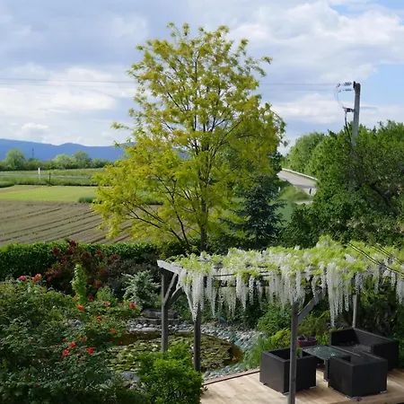 Au Relais De L'ill 3*