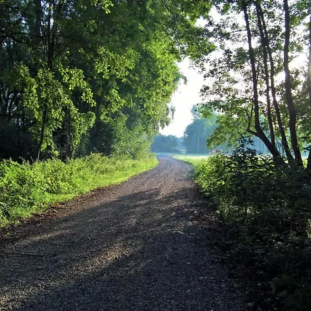 酒店 瑞莱德利旅馆